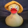 SOLO DUCK